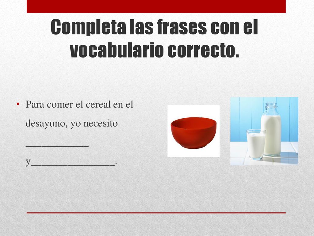 Completa las frases con el vocabulario correcto.