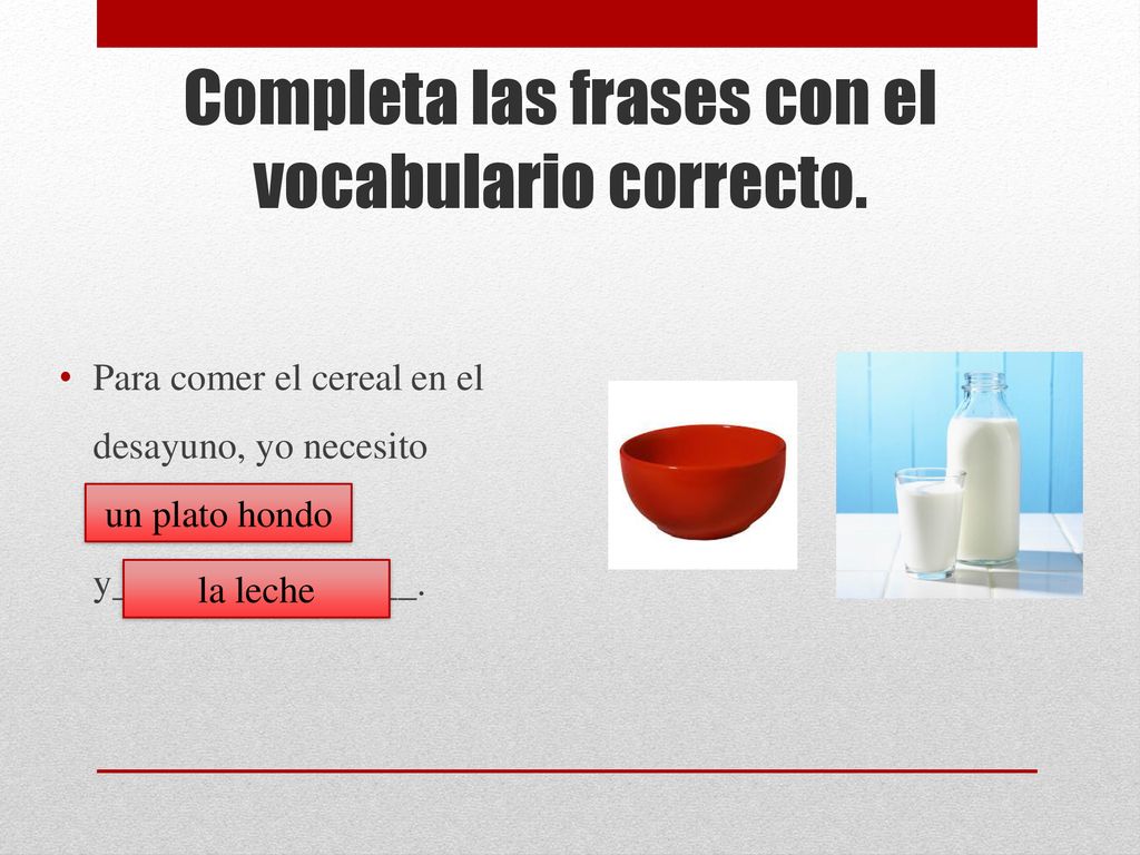 Completa las frases con el vocabulario correcto.