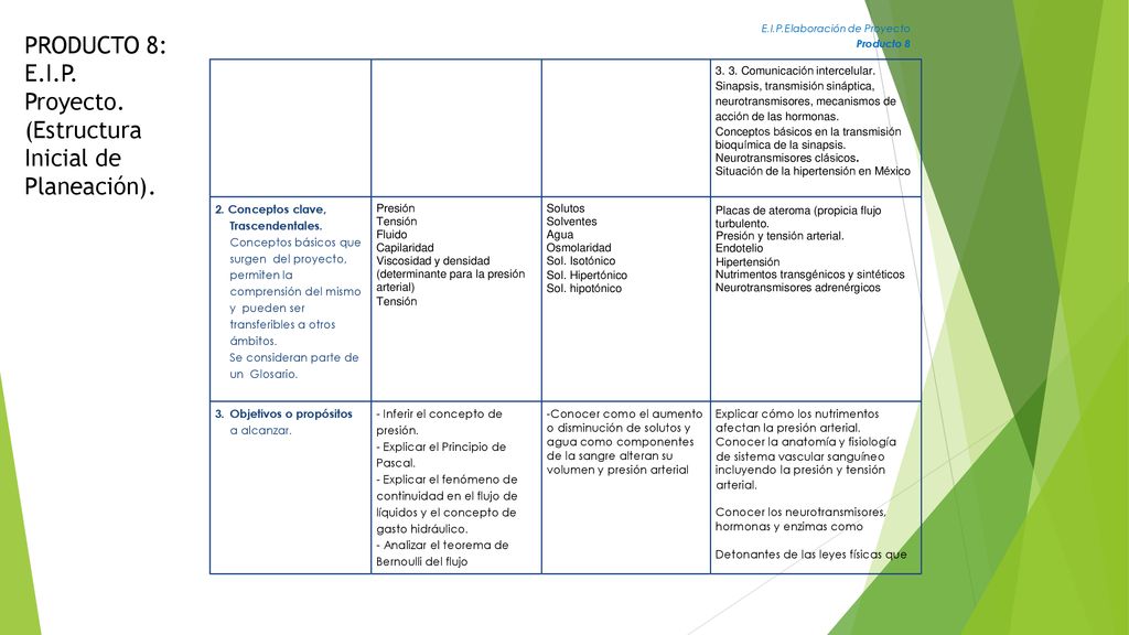 PRODUCTO 8: E.I.P. Proyecto. (Estructura Inicial de Planeación).