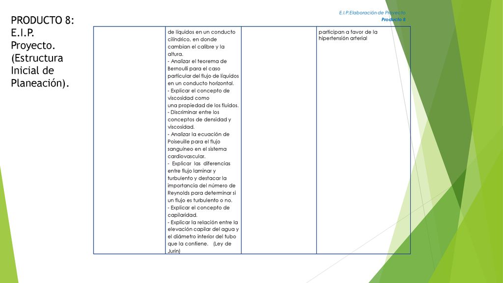PRODUCTO 8: E.I.P. Proyecto. (Estructura Inicial de Planeación).