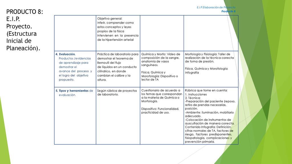 PRODUCTO 8: E.I.P. Proyecto. (Estructura Inicial de Planeación).