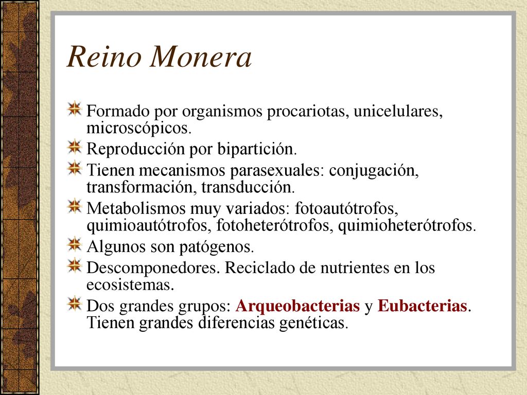 Reino Monera Formado por organismos procariotas, unicelulares, microscópicos. Reproducción por bipartición.