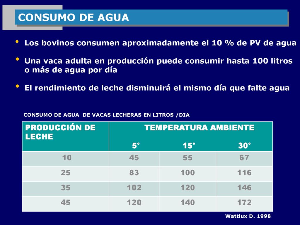 CONSUMO DE AGUA Los bovinos consumen aproximadamente el 10 % de PV de agua.
