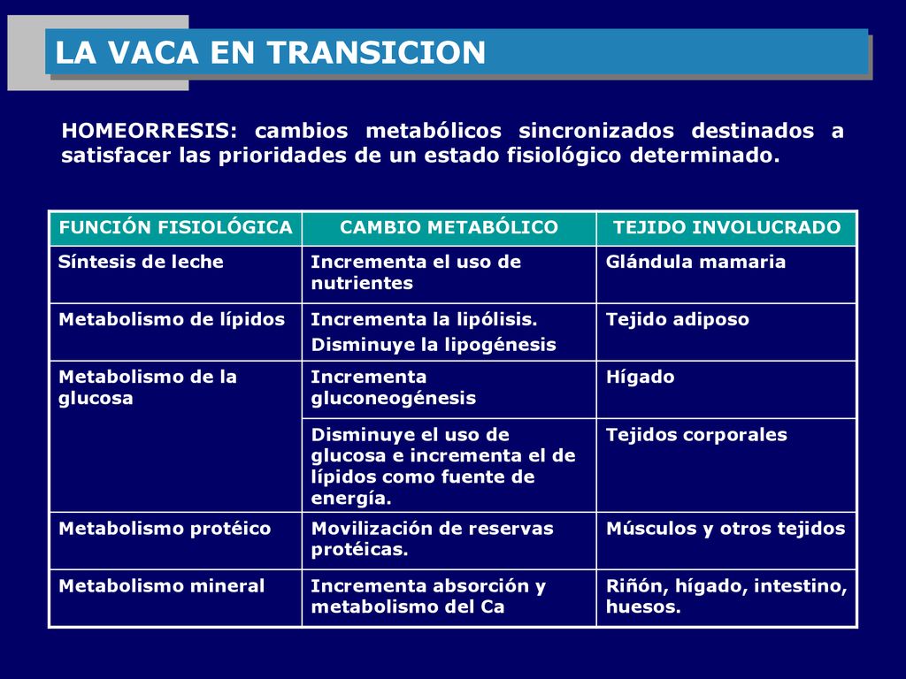 LA VACA EN TRANSICION HOMEORRESIS: cambios metabólicos sincronizados destinados a satisfacer las prioridades de un estado fisiológico determinado.