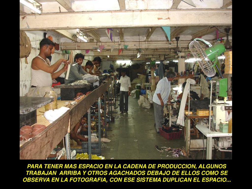 PARA TENER MAS ESPACIO EN LA CADENA DE PRODUCCION, ALGUNOS TRABAJAN ARRIBA Y OTROS AGACHADOS DEBAJO DE ELLOS COMO SE OBSERVA EN LA FOTOGRAFIA, CON ESE SISTEMA DUPLICAN EL ESPACIO...