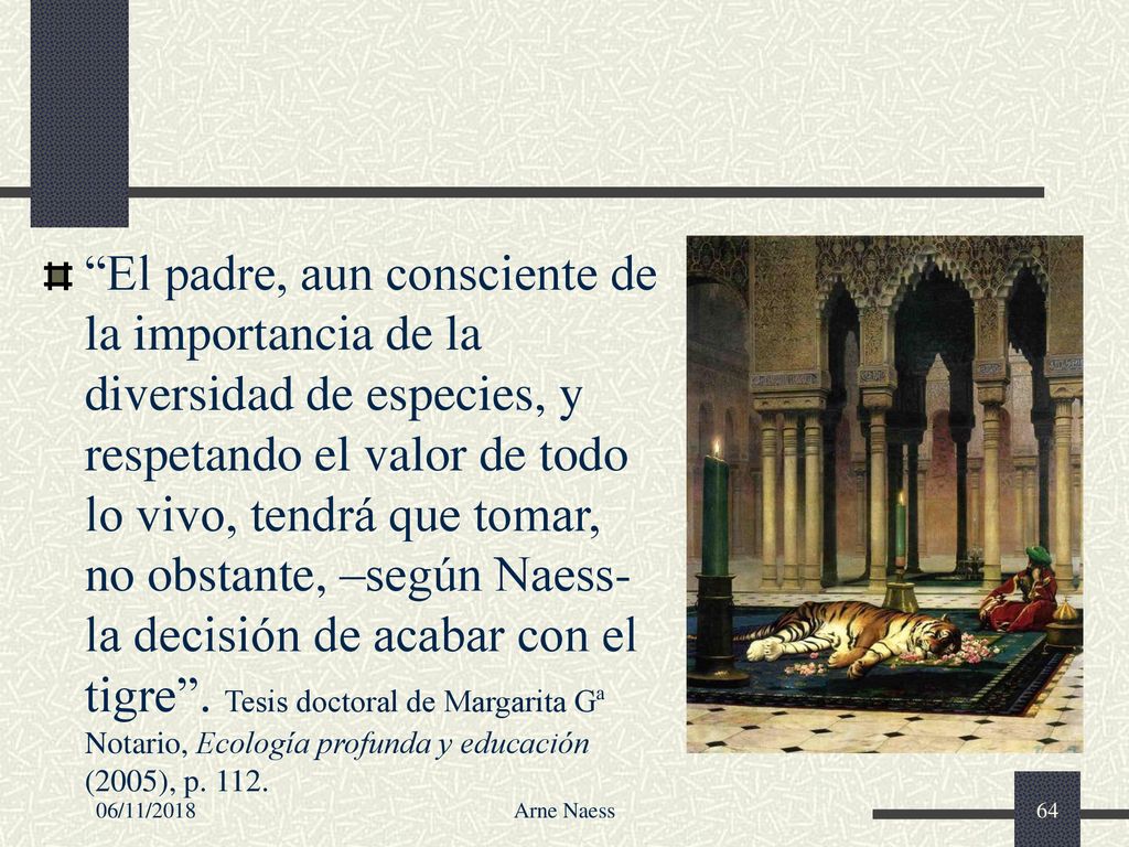 El padre, aun consciente de la importancia de la diversidad de especies, y respetando el valor de todo lo vivo, tendrá que tomar, no obstante, –según Naess- la decisión de acabar con el tigre . Tesis doctoral de Margarita Gª Notario, Ecología profunda y educación (2005), p. 112.