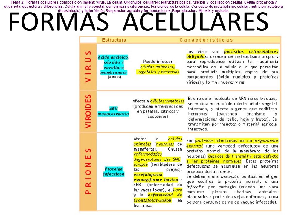 Tema 2. - Formas acelulares, composición básica: virus. La célula