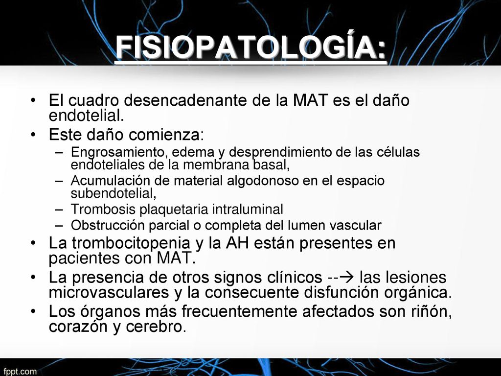 FISIOPATOLOGÍA: El cuadro desencadenante de la MAT es el daño endotelial. Este daño comienza: