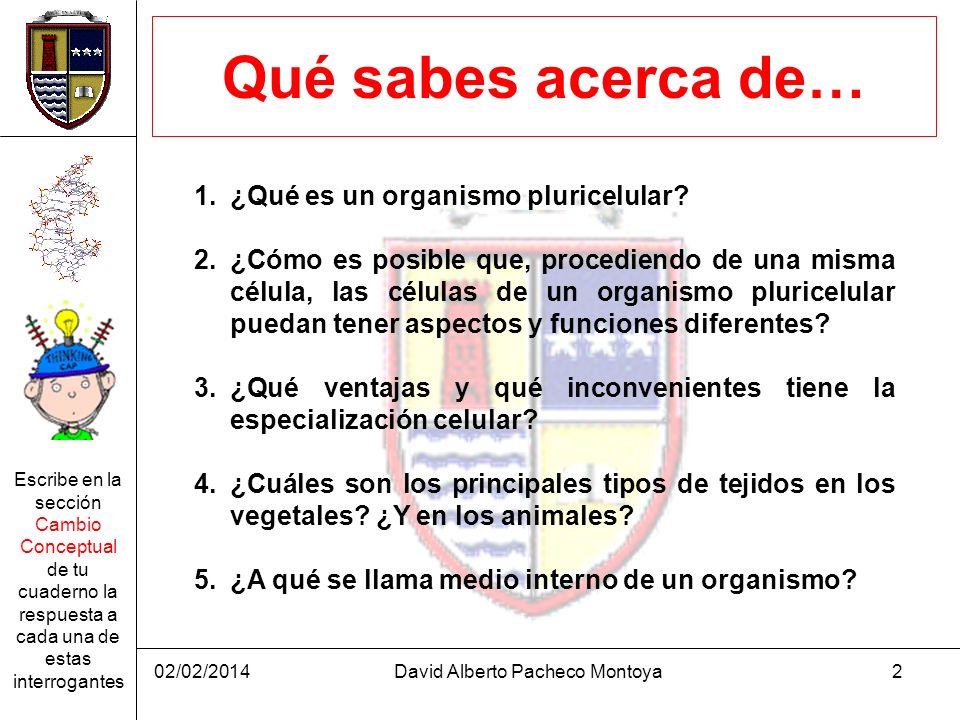 David Alberto Pacheco Montoya