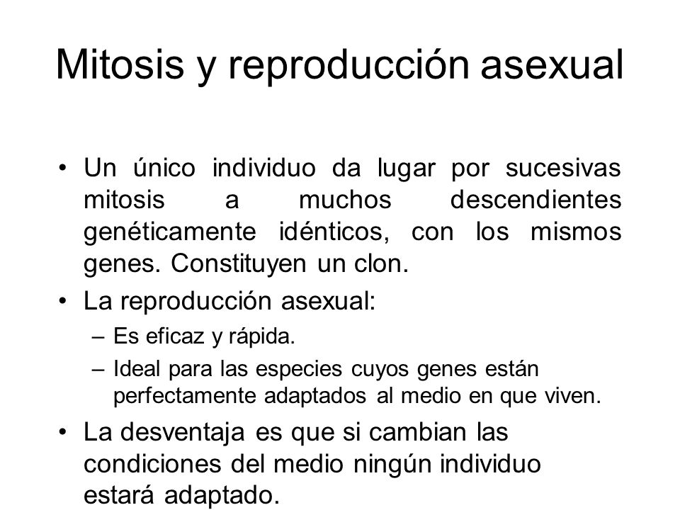 Mitosis y reproducción asexual