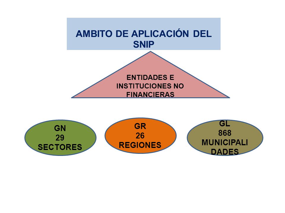 AMBITO DE APLICACIÓN DEL SNIP ENTIDADES E INSTITUCIONES NO FINANCIERAS