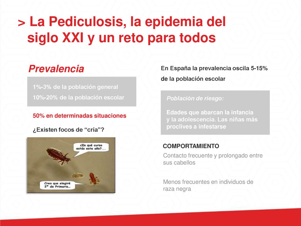 > La Pediculosis, la epidemia del siglo XXI y un reto para todos