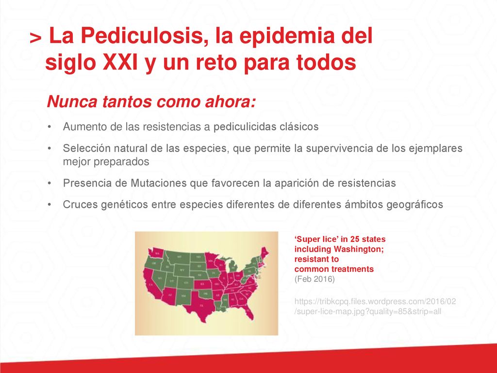 > La Pediculosis, la epidemia del siglo XXI y un reto para todos