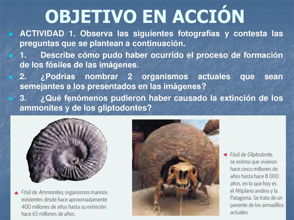 OBJETIVO EN ACCIÓN ACTIVIDAD 1. Observa las siguientes fotografías y contesta las preguntas que se plantean a continuación.