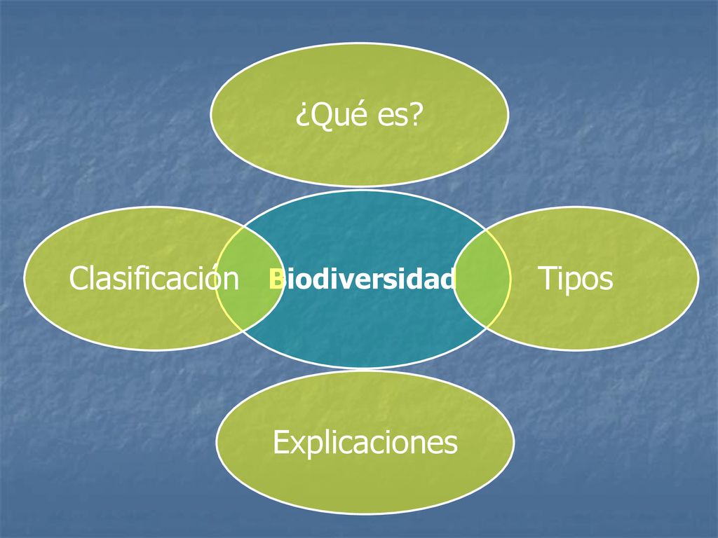 Biodiversidad ¿Qué es Tipos Explicaciones Clasificación