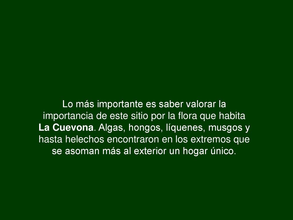 Lo más importante es saber valorar la importancia de este sitio por la flora que habita La Cuevona.