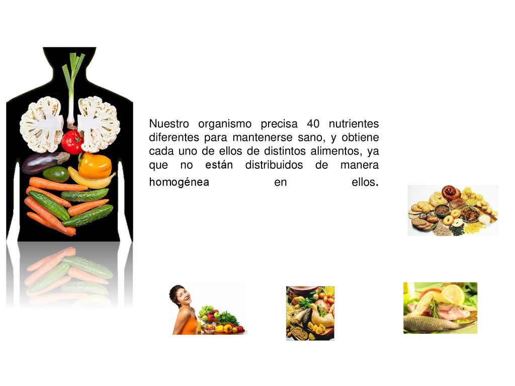 Nuestro organismo precisa 40 nutrientes diferentes para mantenerse sano, y obtiene cada uno de ellos de distintos alimentos, ya que no están distribuidos de manera homogénea en ellos.