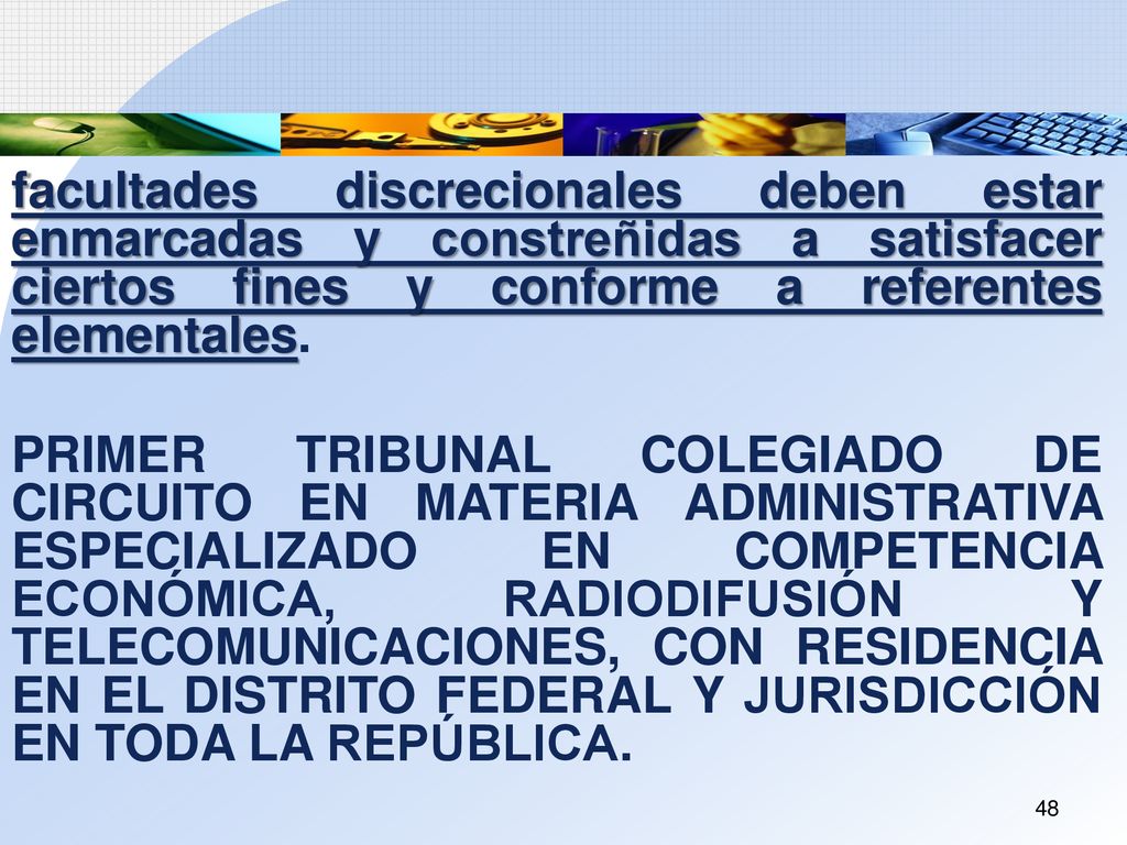 facultades discrecionales deben estar enmarcadas y constreñidas a satisfacer ciertos fines y conforme a referentes elementales.