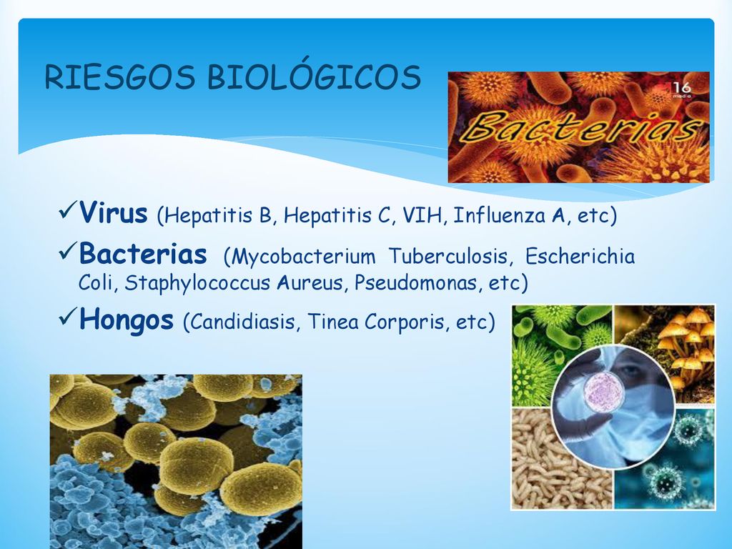 RIESGOS BIOLÓGICOS Virus (Hepatitis B, Hepatitis C, VIH, Influenza A, etc)