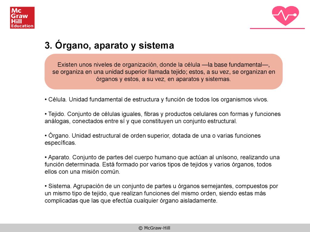 órganos y estos, a su vez, en aparatos y sistemas.