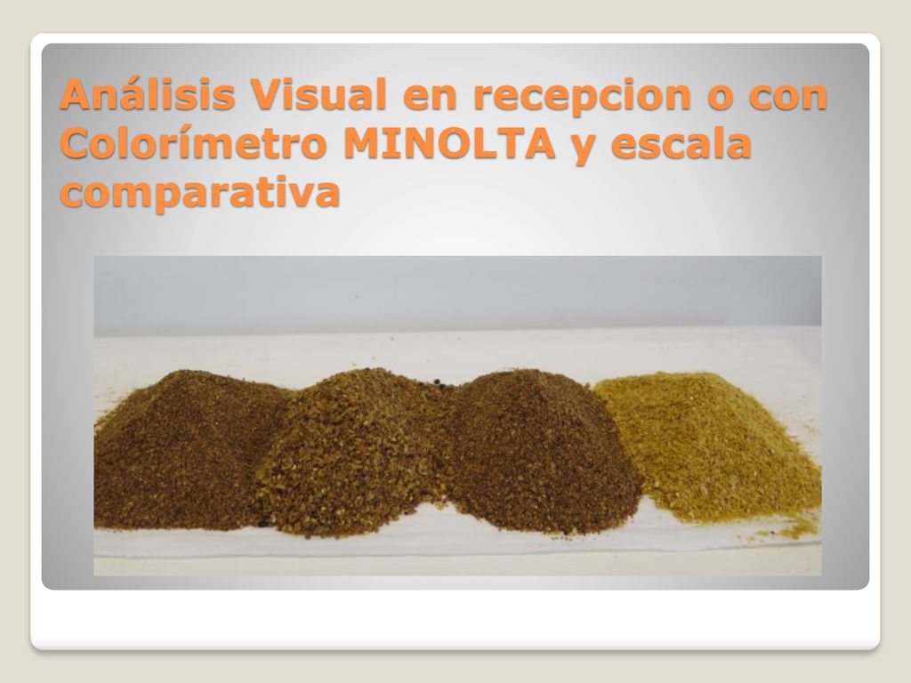 Análisis Visual en recepcion o con Colorímetro MINOLTA y escala comparativa