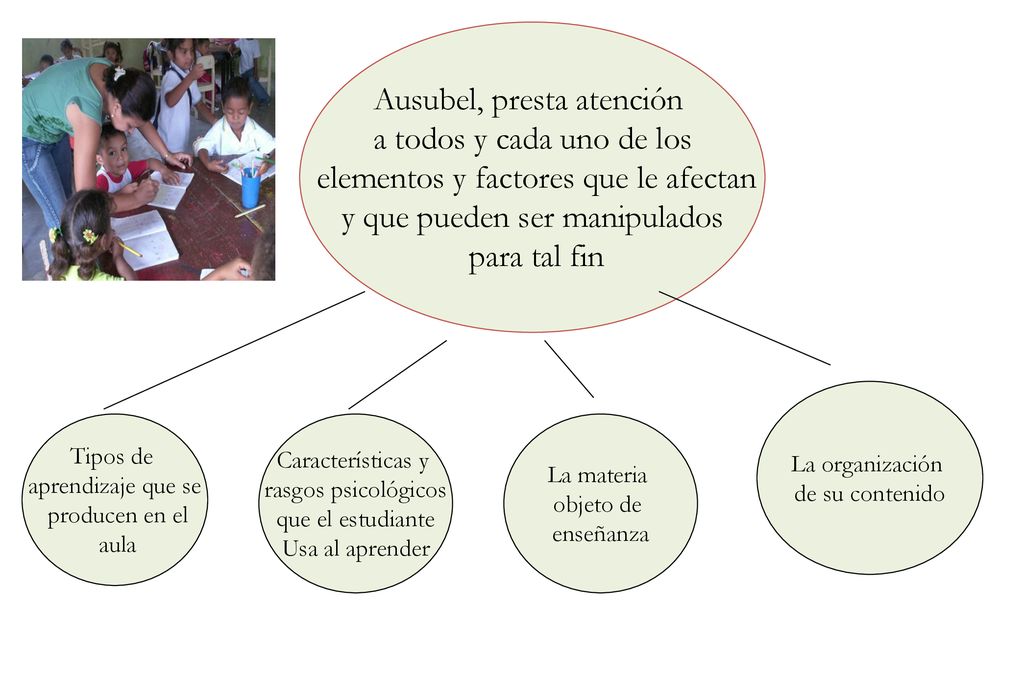 Ausubel, presta atención a todos y cada uno de los