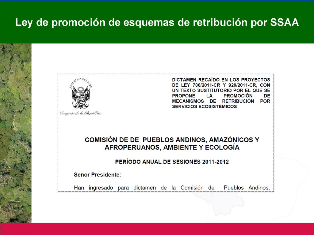 Ley de promoción de esquemas de retribución por SSAA