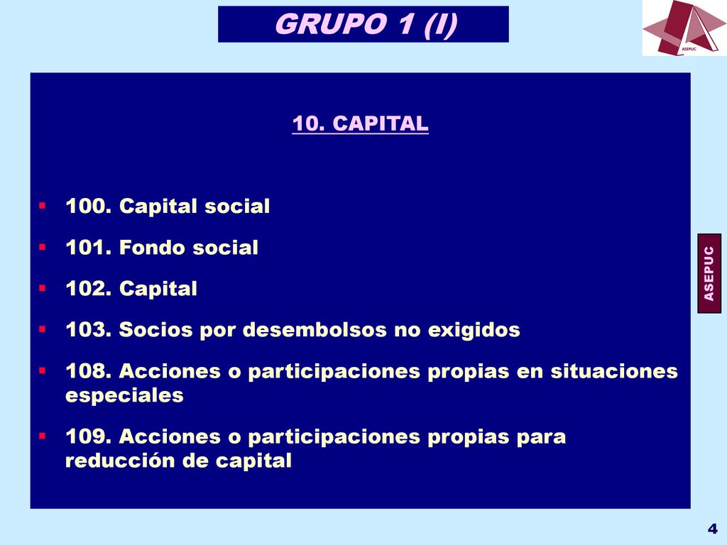 GRUPO 1 (I) 10. CAPITAL 100. Capital social 101. Fondo social