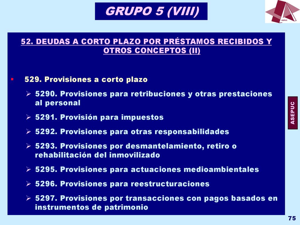 GRUPO 5 (VIII) 52. DEUDAS A CORTO PLAZO POR PRÉSTAMOS RECIBIDOS Y OTROS CONCEPTOS (II) 529. Provisiones a corto plazo.