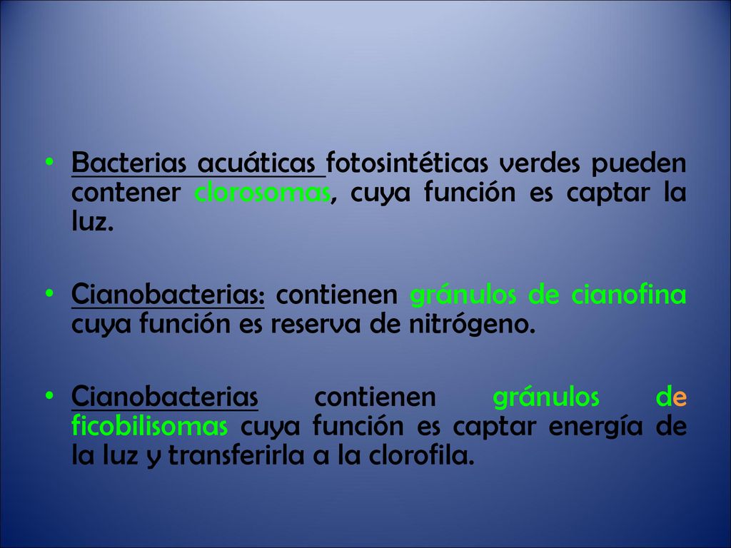 Bacterias acuáticas fotosintéticas verdes pueden contener clorosomas, cuya función es captar la luz.