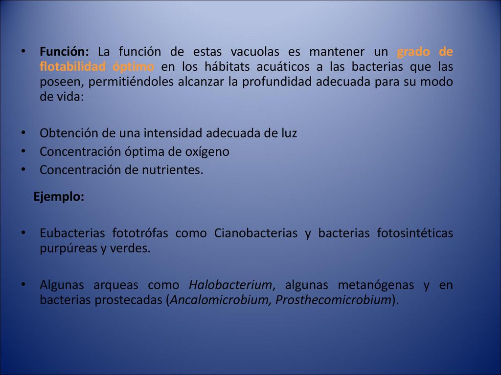 Función: La función de estas vacuolas es mantener un grado de flotabilidad óptimo en los hábitats acuáticos a las bacterias que las poseen, permitiéndoles alcanzar la profundidad adecuada para su modo de vida: