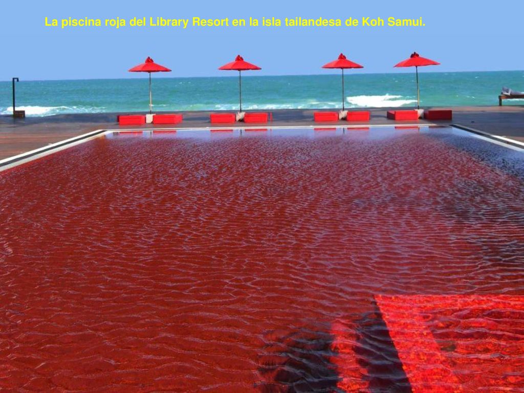 La piscina roja del Library Resort en la isla tailandesa de Koh Samui.
