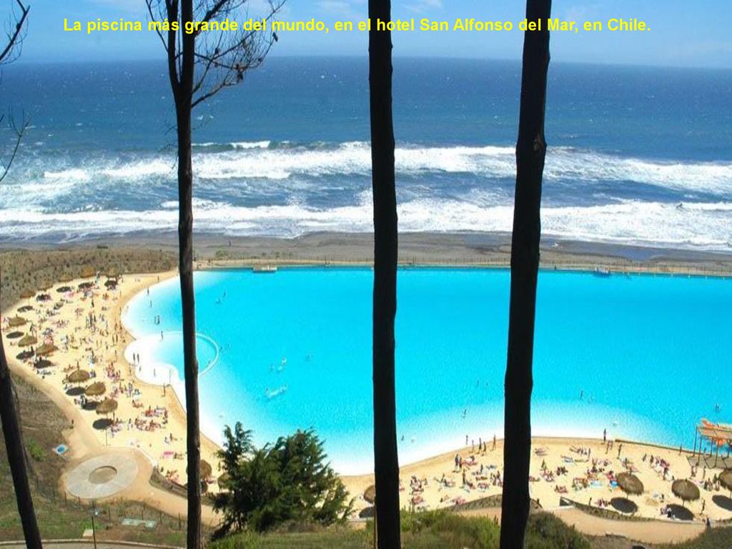 La piscina más grande del mundo, en el hotel San Alfonso del Mar, en Chile.