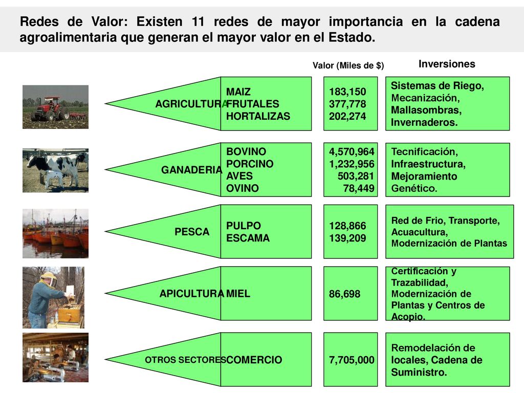 Redes de Valor: Existen 11 redes de mayor importancia en la cadena agroalimentaria que generan el mayor valor en el Estado.