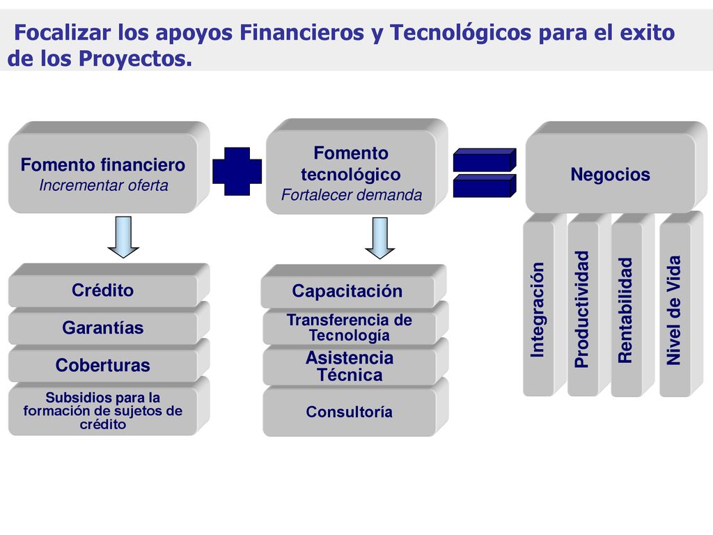 Focalizar los apoyos Financieros y Tecnológicos para el exito de los Proyectos.