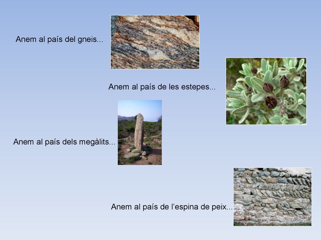 Anem al país del gneis... Anem al país de les estepes...