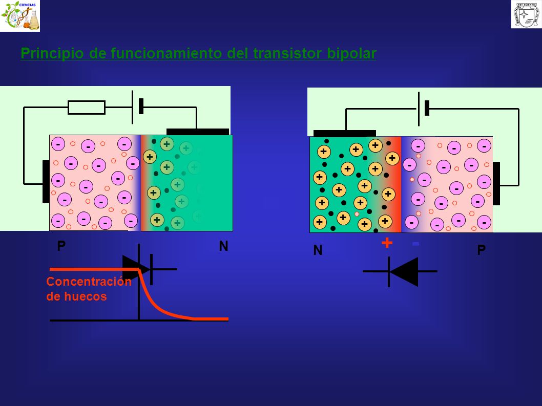 + - Principio de funcionamiento del transistor bipolar P N N P