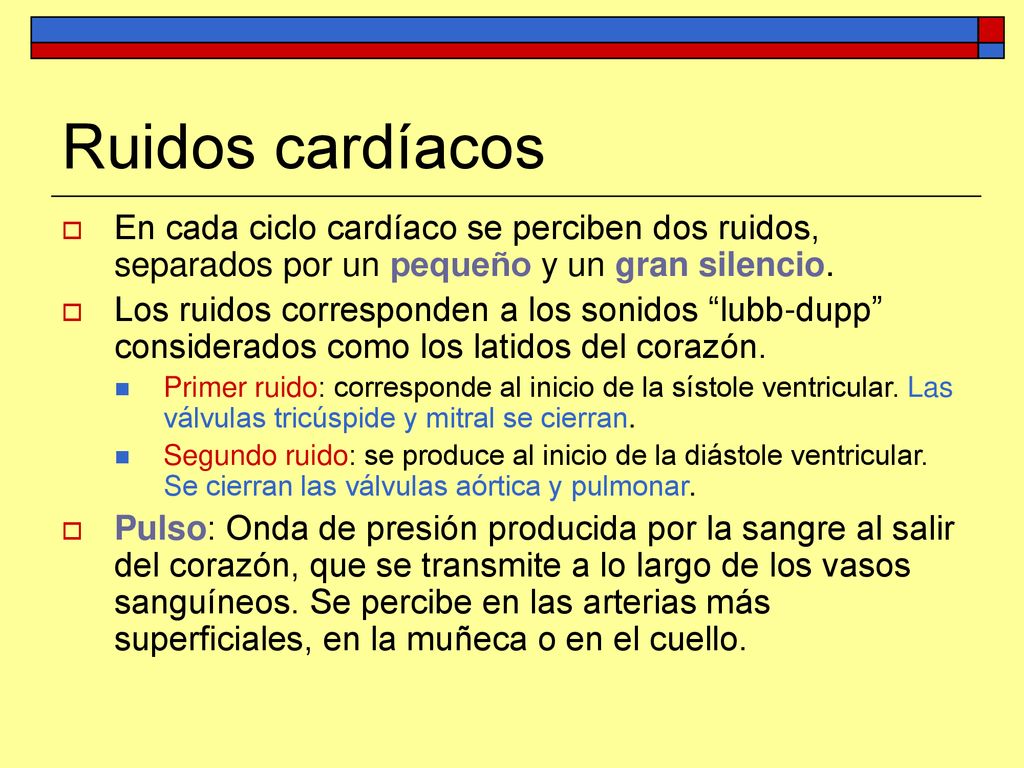 Ruidos cardíacos En cada ciclo cardíaco se perciben dos ruidos, separados por un pequeño y un gran silencio.