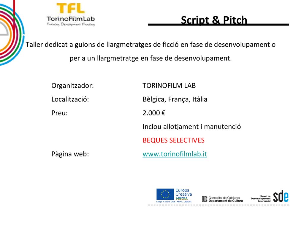 Script & Pitch Taller dedicat a guions de llargmetratges de ficció en fase de desenvolupament o per a un llargmetratge en fase de desenvolupament.