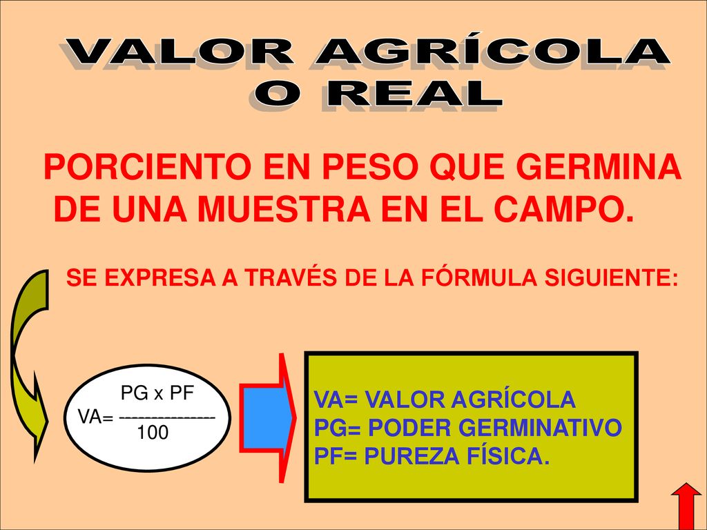 PORCIENTO EN PESO QUE GERMINA DE UNA MUESTRA EN EL CAMPO.