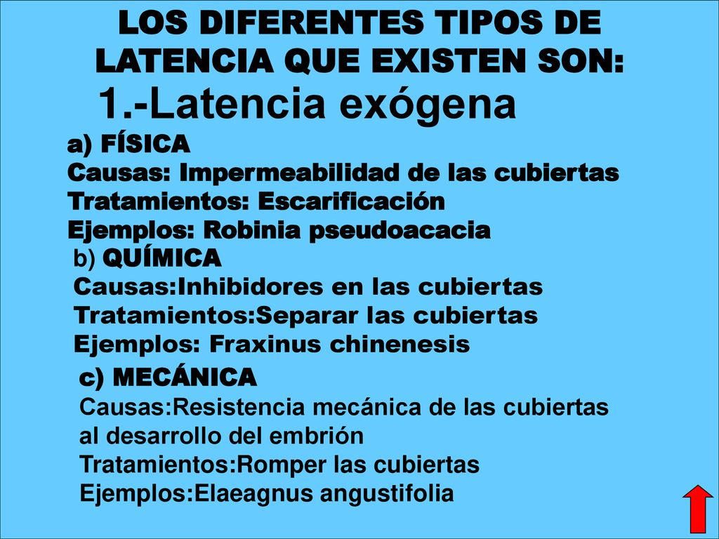 LOS DIFERENTES TIPOS DE LATENCIA QUE EXISTEN SON: