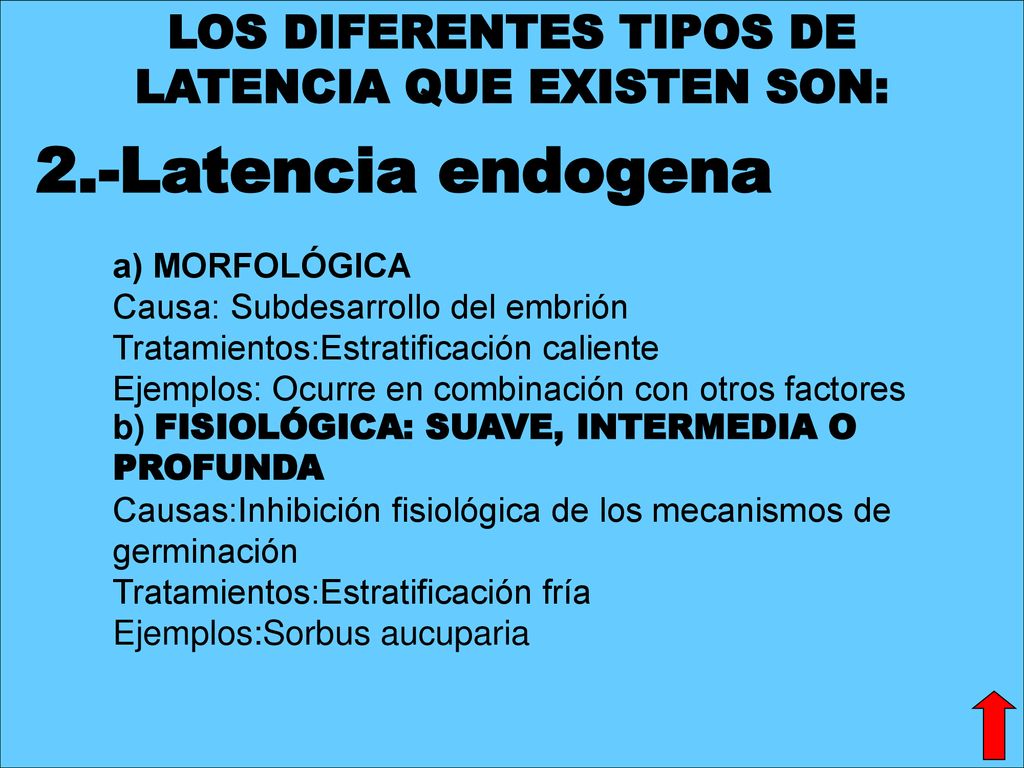 LOS DIFERENTES TIPOS DE LATENCIA QUE EXISTEN SON: