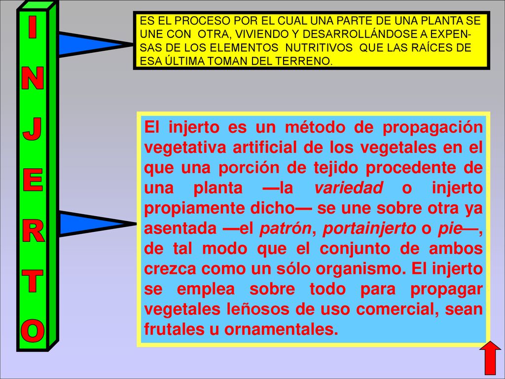 ES EL PROCESO POR EL CUAL UNA PARTE DE UNA PLANTA SE