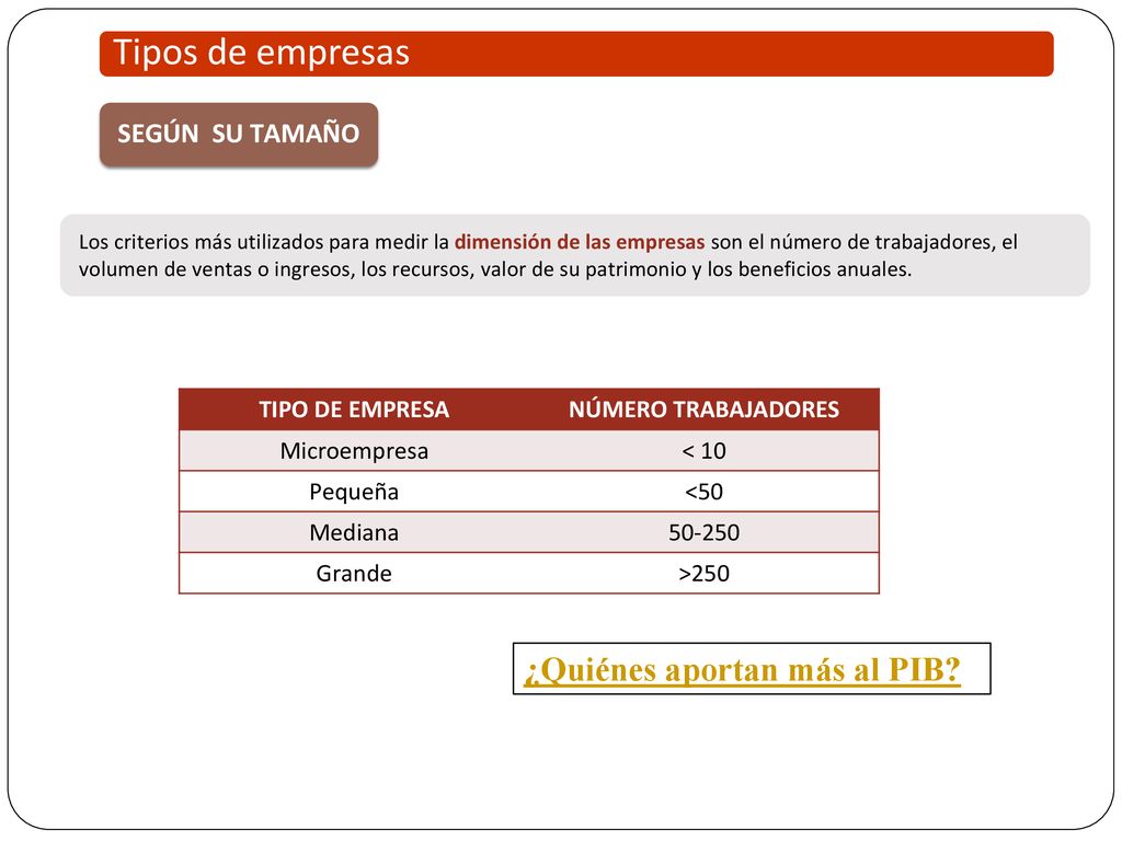Tipos de empresas ¿Quiénes aportan más al PIB SEGÚN SU TAMAÑO