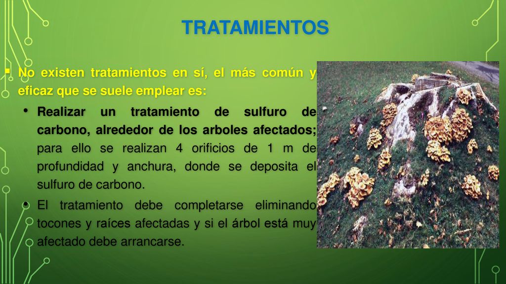 tratamientos No existen tratamientos en sí, el más común y eficaz que se suele emplear es:
