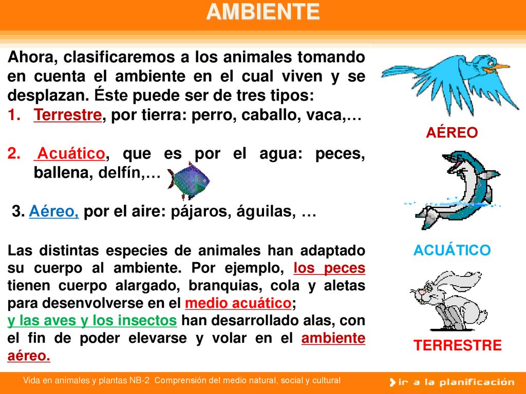 AMBIENTE Ahora, clasificaremos a los animales tomando en cuenta el ambiente en el cual viven y se desplazan. Éste puede ser de tres tipos: