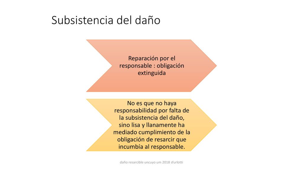 Subsistencia del daño Reparación por el responsable : obligación extinguida.