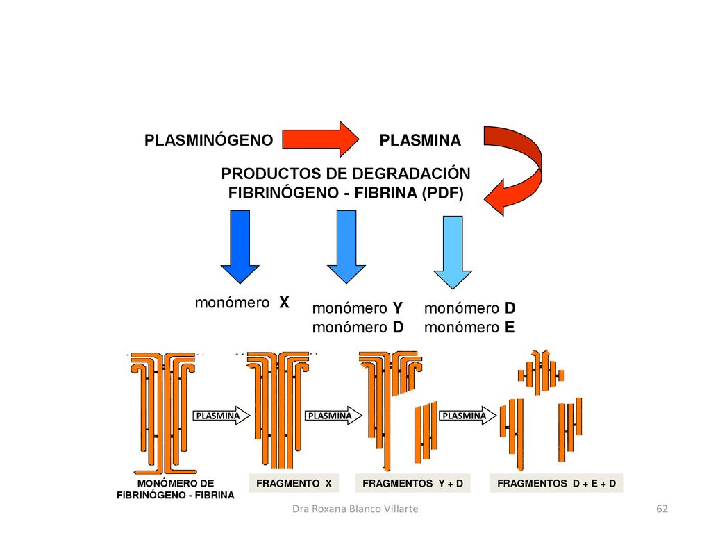 PRODUCTOS DE DEGRADACIÓN FIBRINÓGENO - FIBRINA (PDF)
