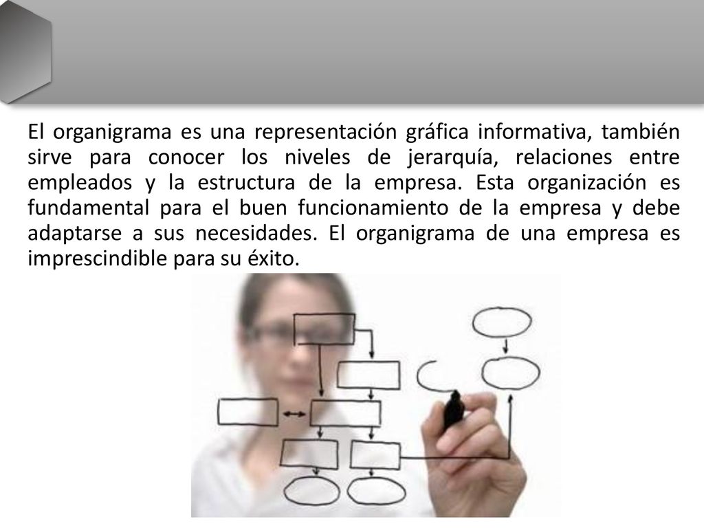El organigrama es una representación gráfica informativa, también sirve para conocer los niveles de jerarquía, relaciones entre empleados y la estructura de la empresa.
