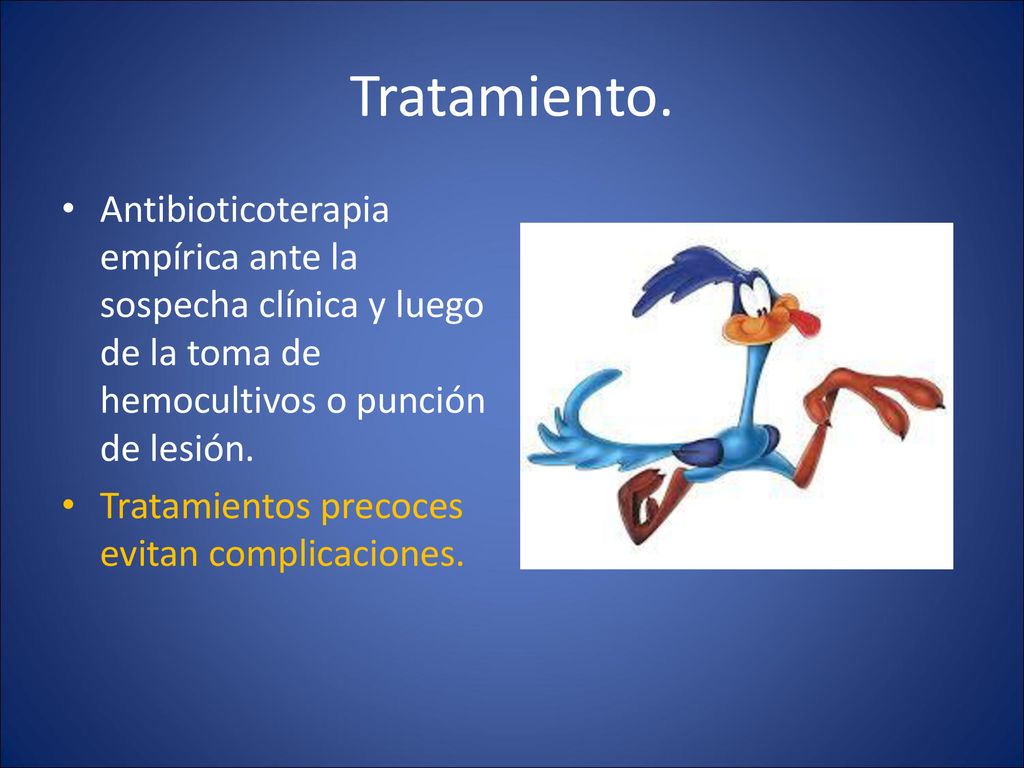 Tratamiento. Antibioticoterapia empírica ante la sospecha clínica y luego de la toma de hemocultivos o punción de lesión.